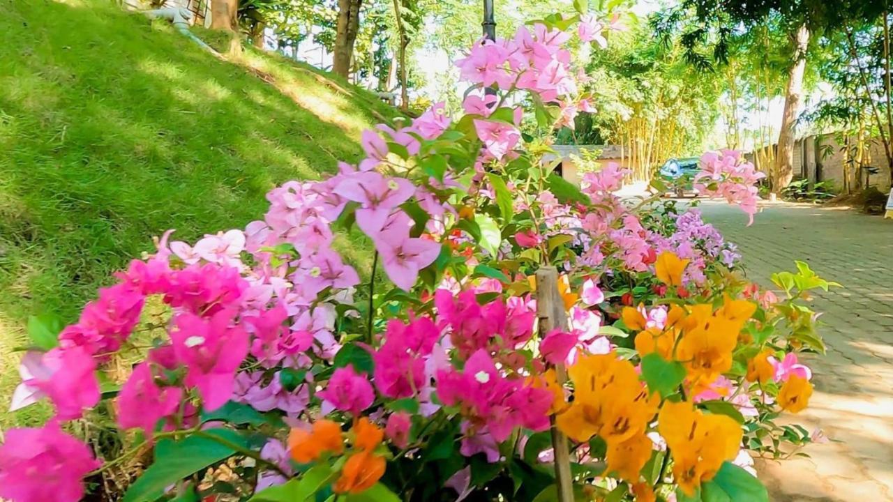 Bougainvillea Retreat & Spa Kaharpara Екстер'єр фото